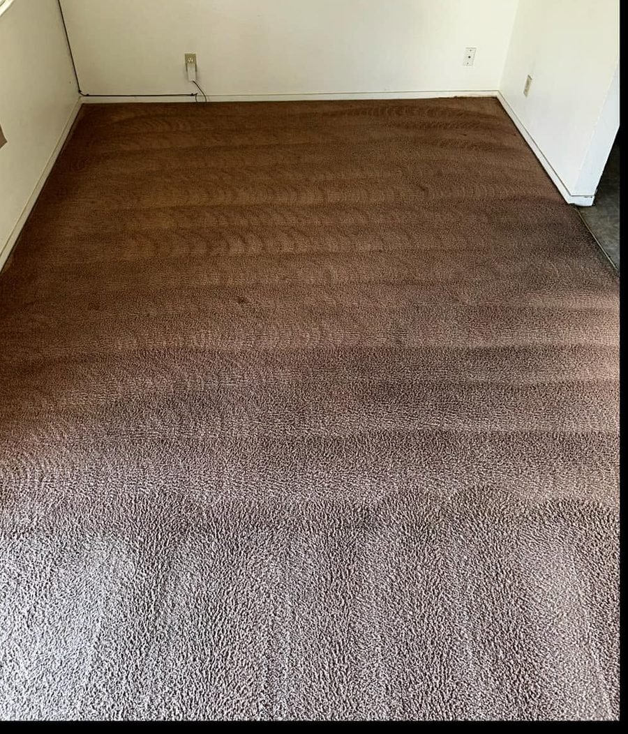 Bedroom carpet after EcoFresh cleaning