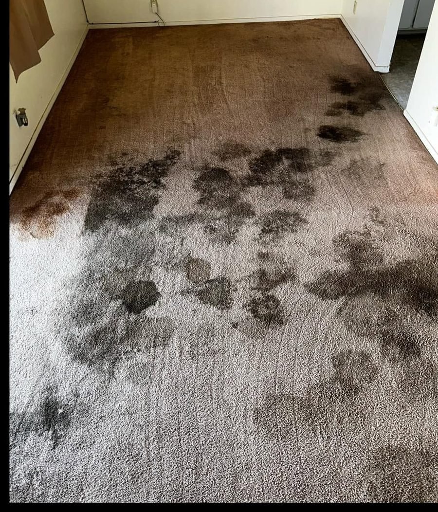 Bedroom carpet before cleaning with heavy black staining